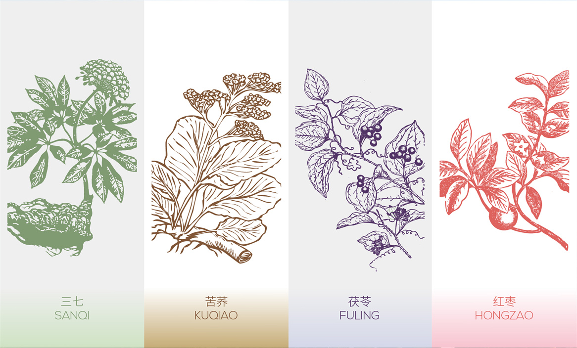 紙盒裝中藥包裝設計